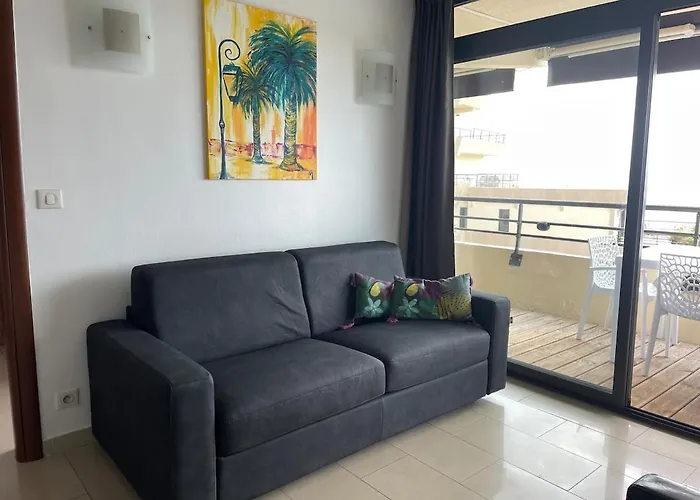 Sanguinaires - 3p - Terrasse - Piscine Apartment *